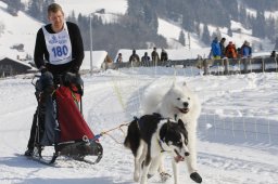 Lenk 2012 SM